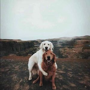 Meet your Posher, Mylyn